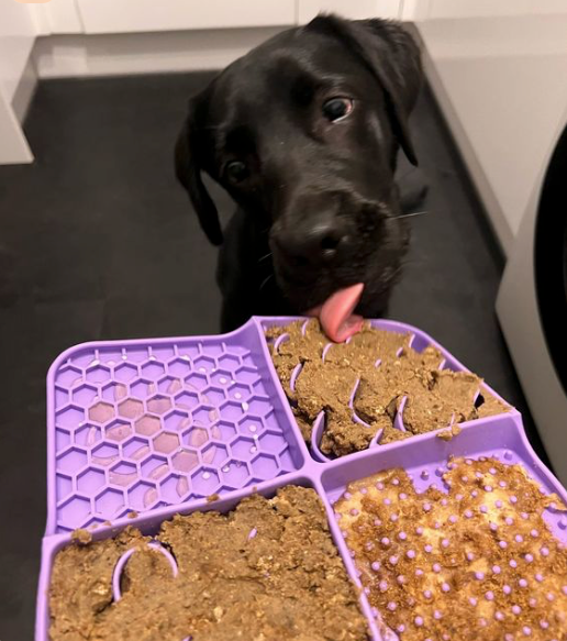 PawEssentials Calming Lick Mat — Keep Your Dog Happy & Stress-Free